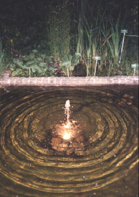 Foto vom Brunnen im Staudengarten des Botanischen Garten bei Nacht