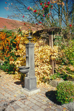 Foto der Brunnensäule im Botanischen Garten 