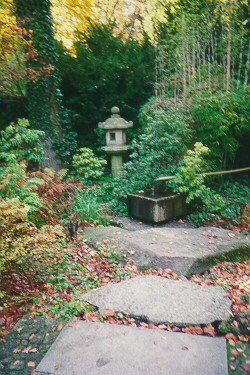Foto vom Brunnentrog im Japangarten