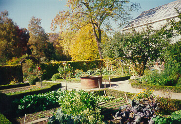 Foto vom Pumpbrunnen im Bauerngarten des Botanischen Garten