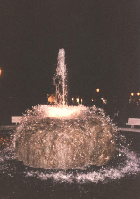 Foto vom Springbrunnen im Botanischen Garten bei Nacht
