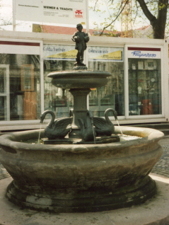 Foto vom Gänsebrunnen in Eisenach